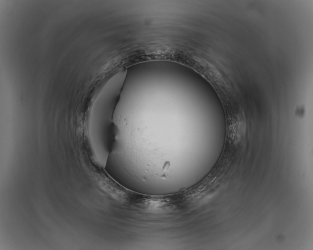 X0000096150662200801181203