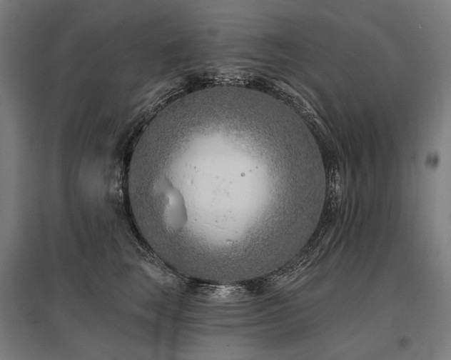X0000096150663200801181203