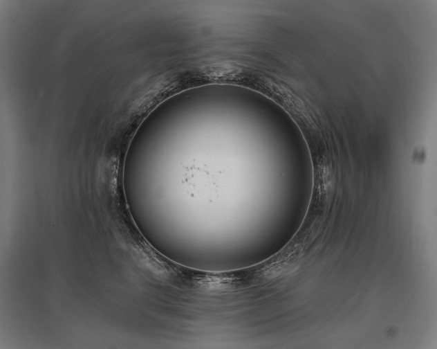 X0000096150664200801181203