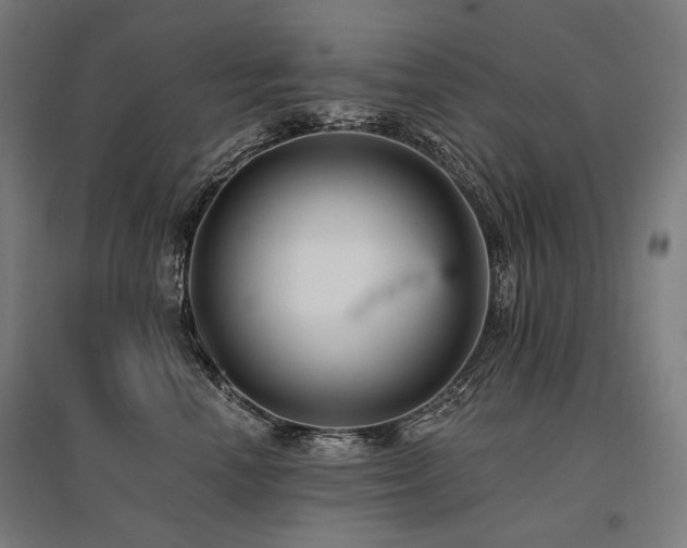 X0000096150666200801181203