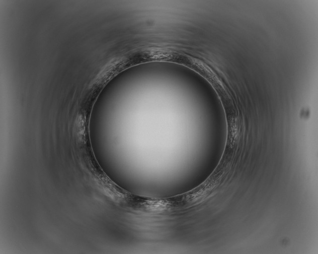 X0000096150667200801181203