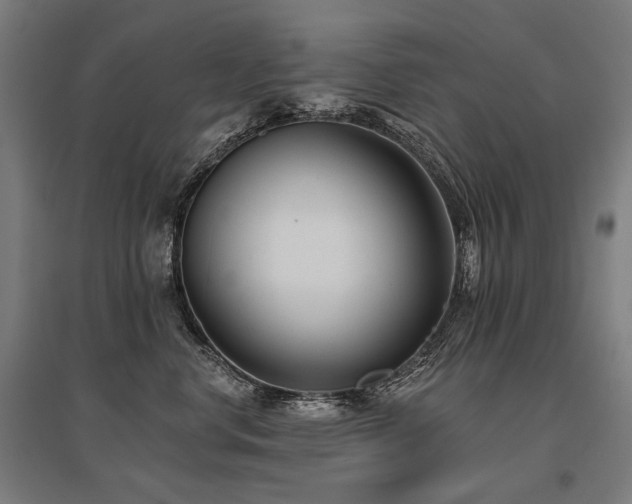 X0000096150668200801181204