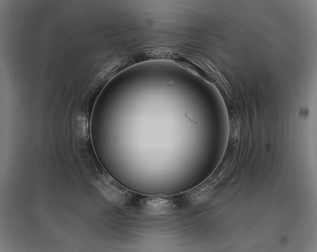 X0000096150669200801181204