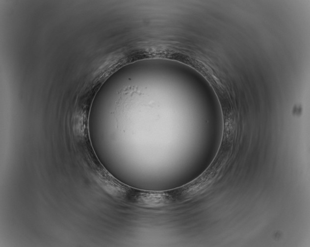 X0000096150671200801181204