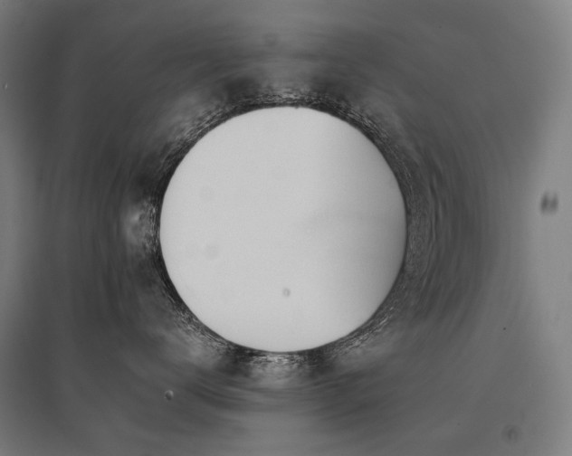 X0000096150672200801181204