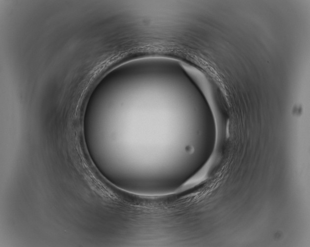 X0000096150673200801181203