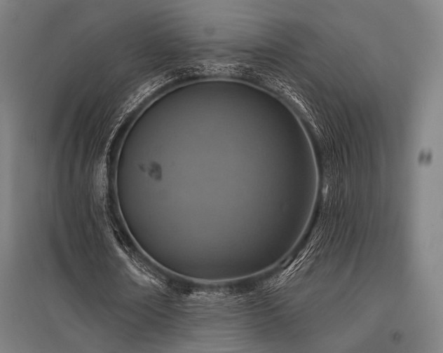 X0000096150674200801181203