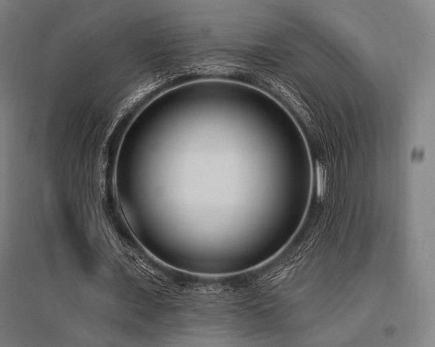 X0000096150675200801181203