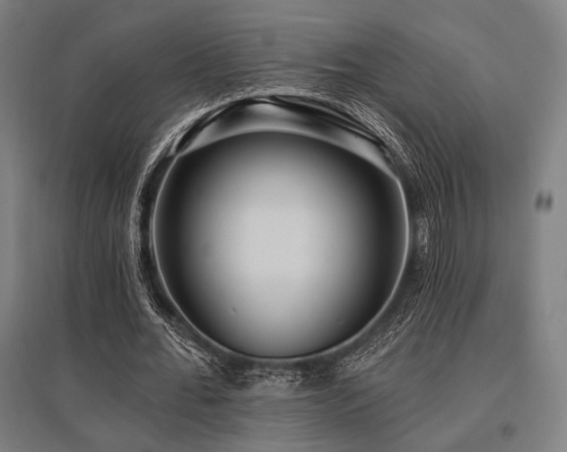 X0000096150676200801181203