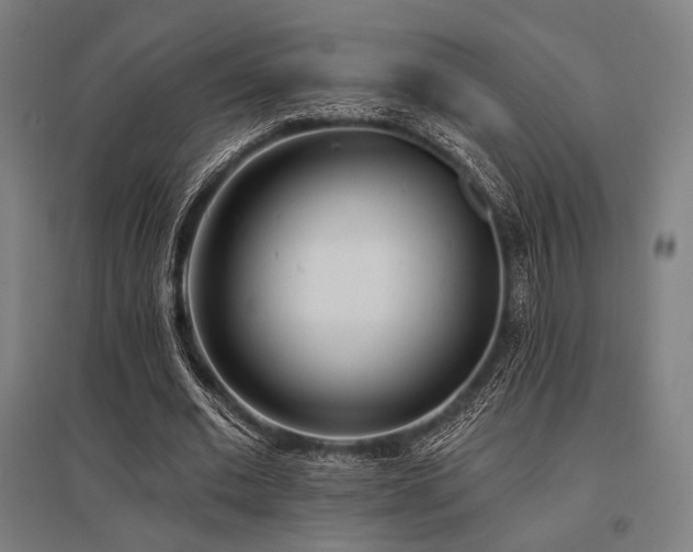 X0000096150677200801181203