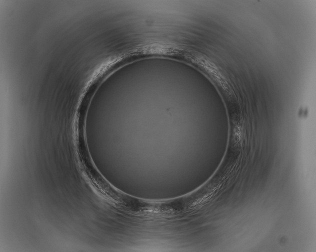 X0000096150678200801181203