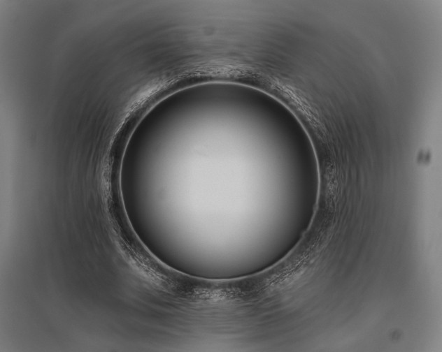 X0000096150679200801181203