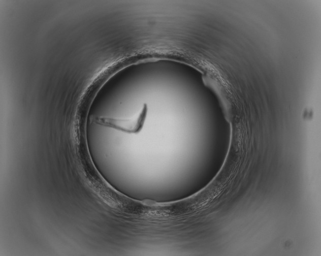 X0000096150680200801181203