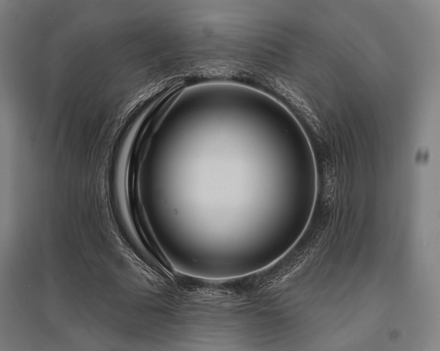 X0000096150681200801181203