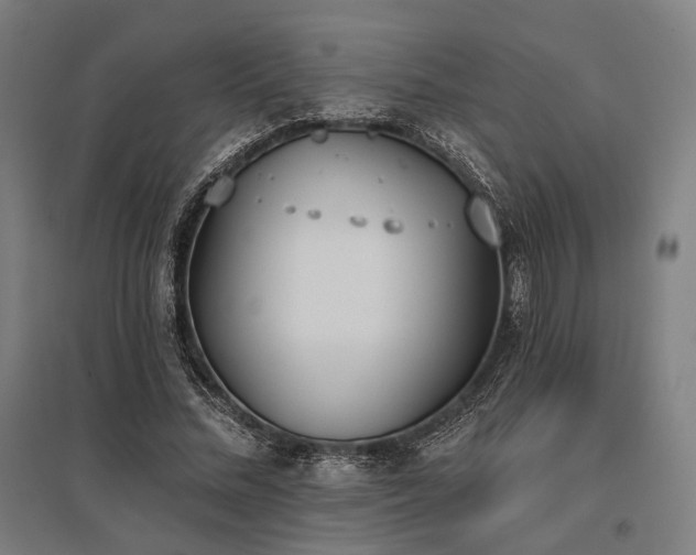 X0000096150684200801181203