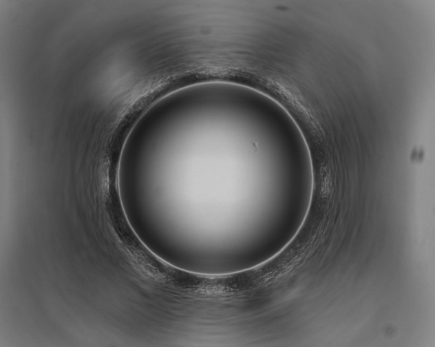 X0000096150685200801181203