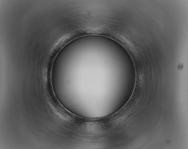 X0000096150686200801181203