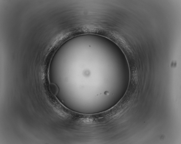 X0000096150687200801181203