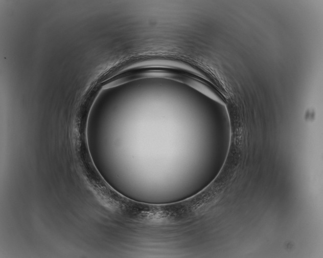 X0000096150688200801181203