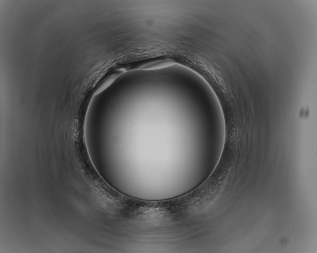X0000096150689200801181203