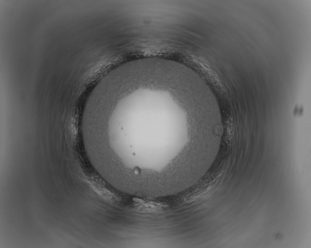 X0000096150691200801181203
