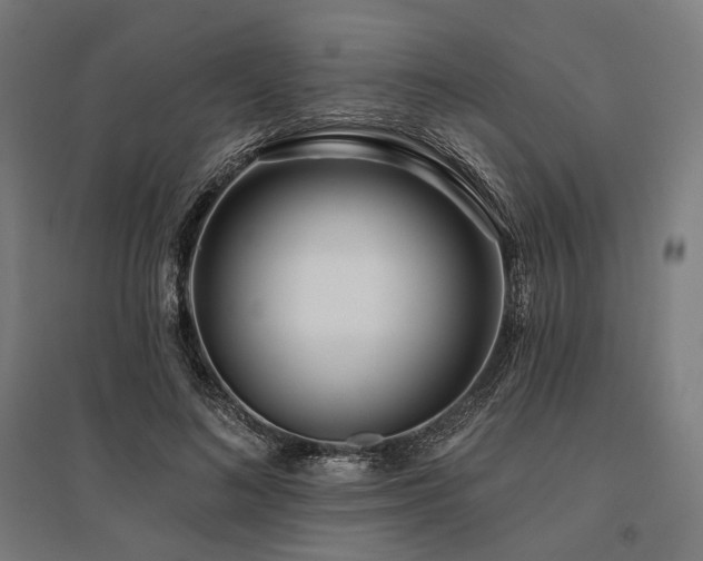 X0000096150692200801181203
