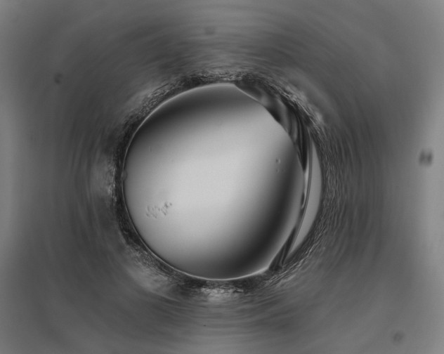 X0000096150693200801181203