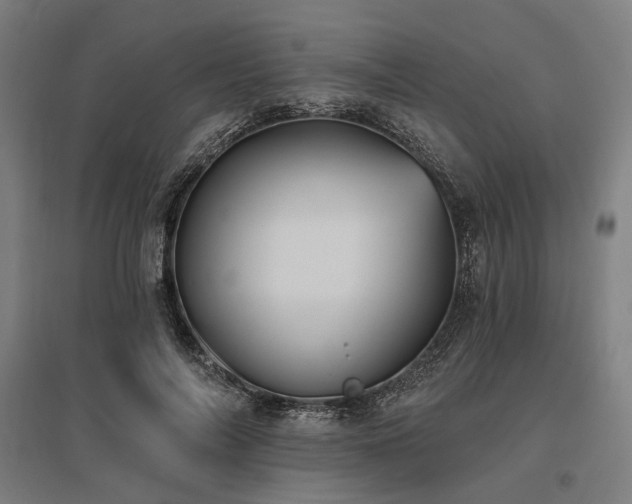 X0000096150694200801181203