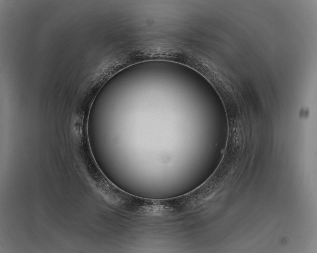 X0000096150695200801181203