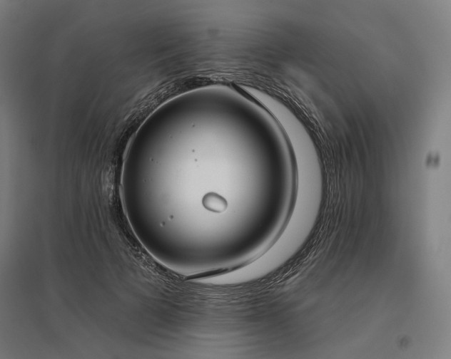 X0000096150697200801181203