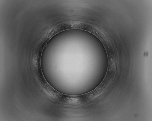 X0000096150698200801181203