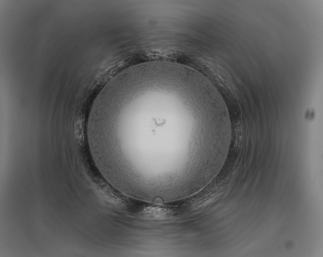 X0000096150699200801181203