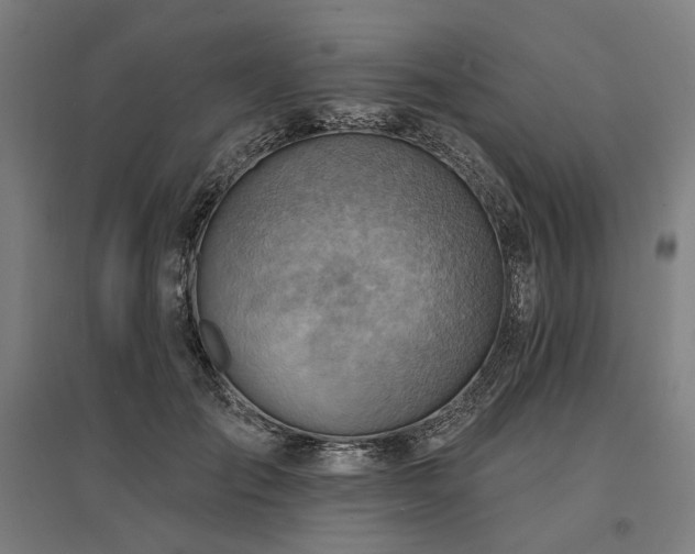 X0000096150701200801181203