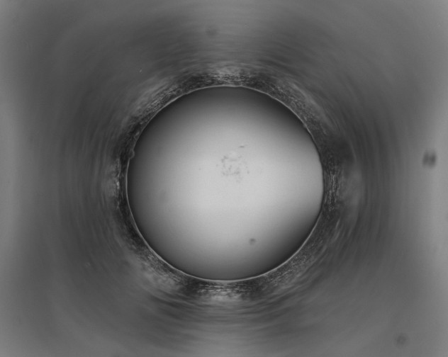 X0000096150702200801181203