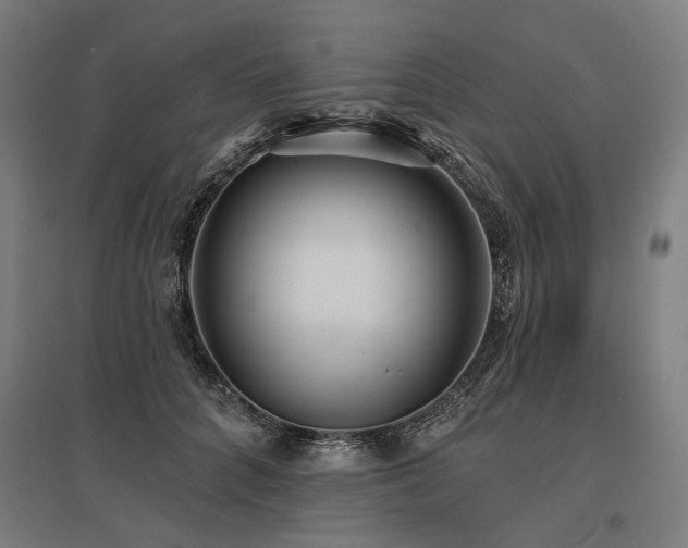 X0000096150704200801181202
