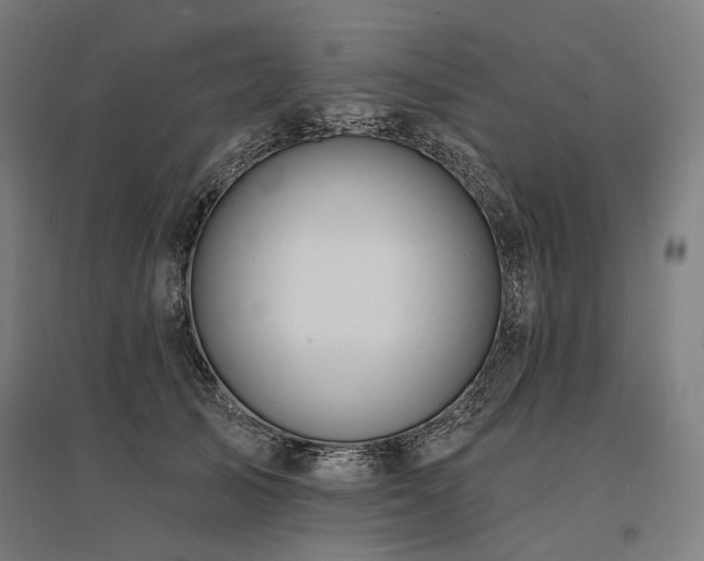 X0000096150705200801181202