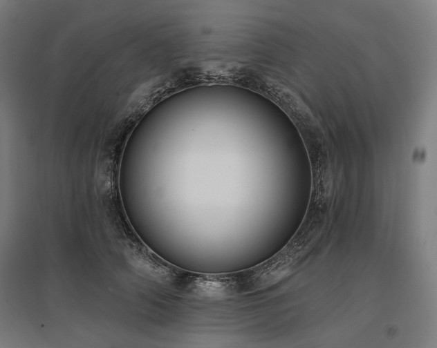X0000096150706200801181202