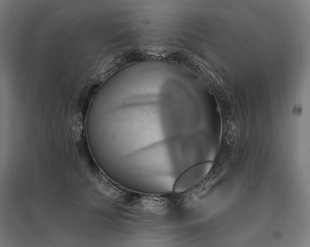 X0000096150707200801181202