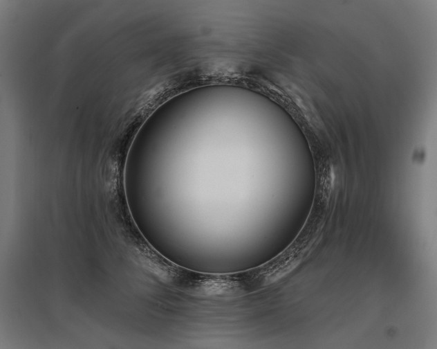 X0000096150708200801181202