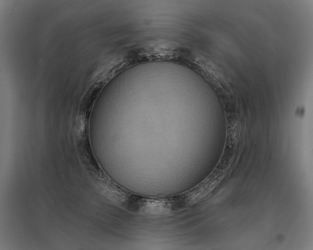 X0000096150709200801181202