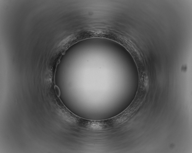 X0000096150710200801181202