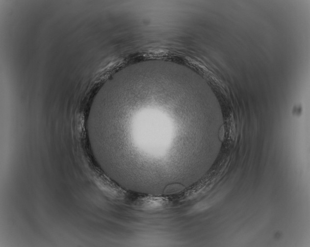X0000096150711200801181202