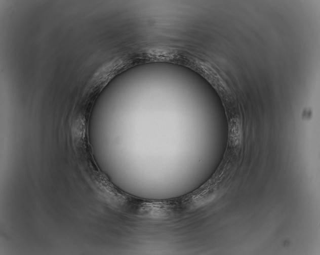 X0000096150713200801181202