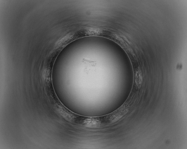 X0000096150714200801181202