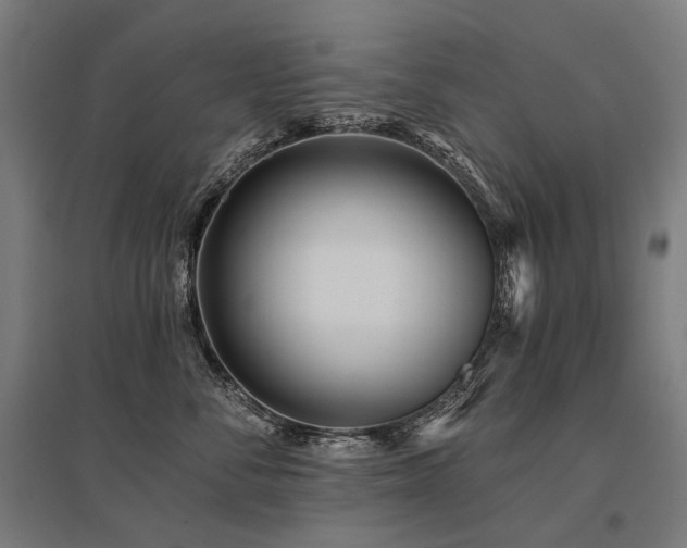 X0000096150716200801181202