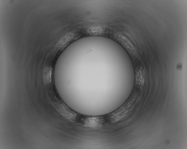 X0000096150717200801181202