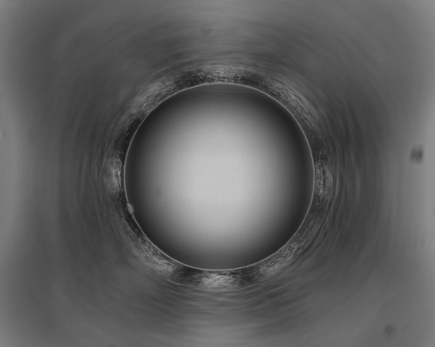 X0000096150718200801181202
