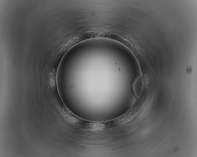 X0000096150719200801181202