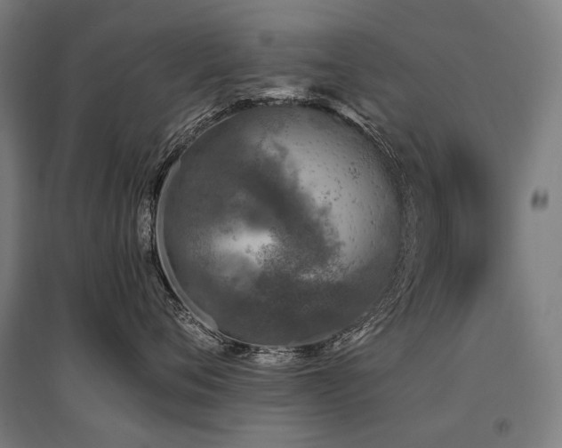 X0000096150720200801181202