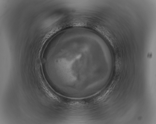 X0000096150721200801181202